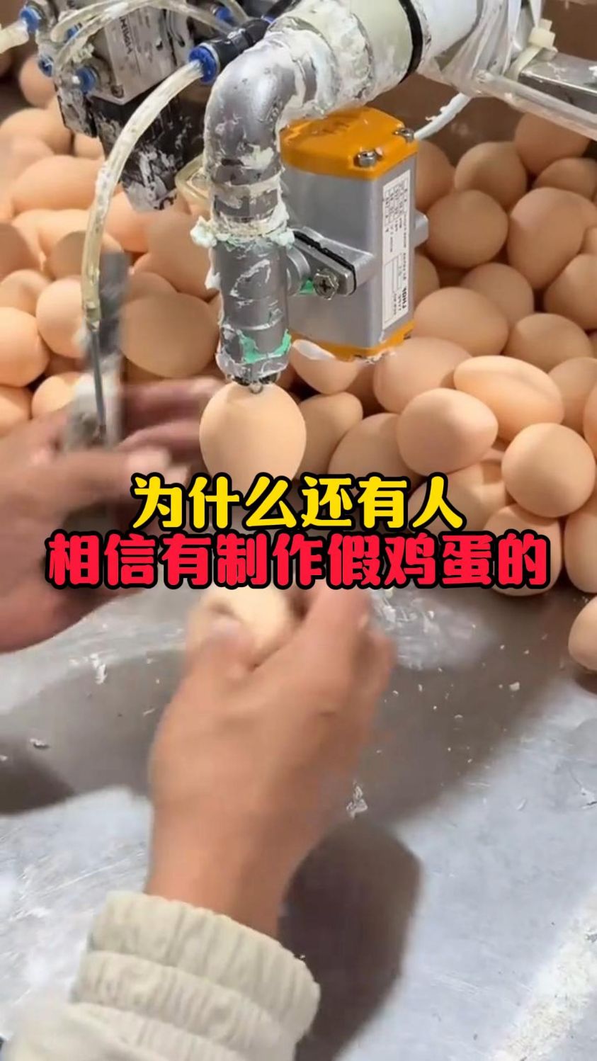 世界上真有假鸡蛋吗#食品安全科普 #涨知识 #假鸡蛋