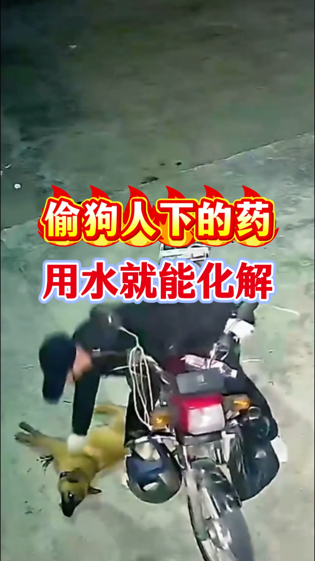 偷狗人下的药叫三步倒,不花钱用水就能化解