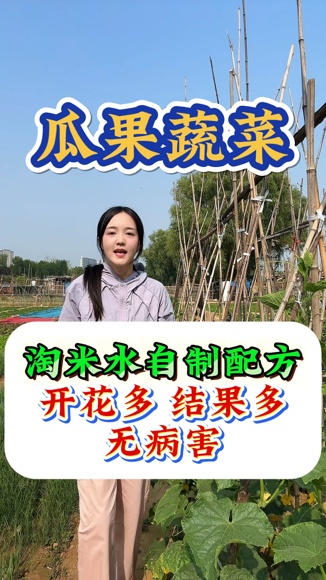 淘米水自制配方,让瓜果蔬菜开花多、结果多、无病害产量高