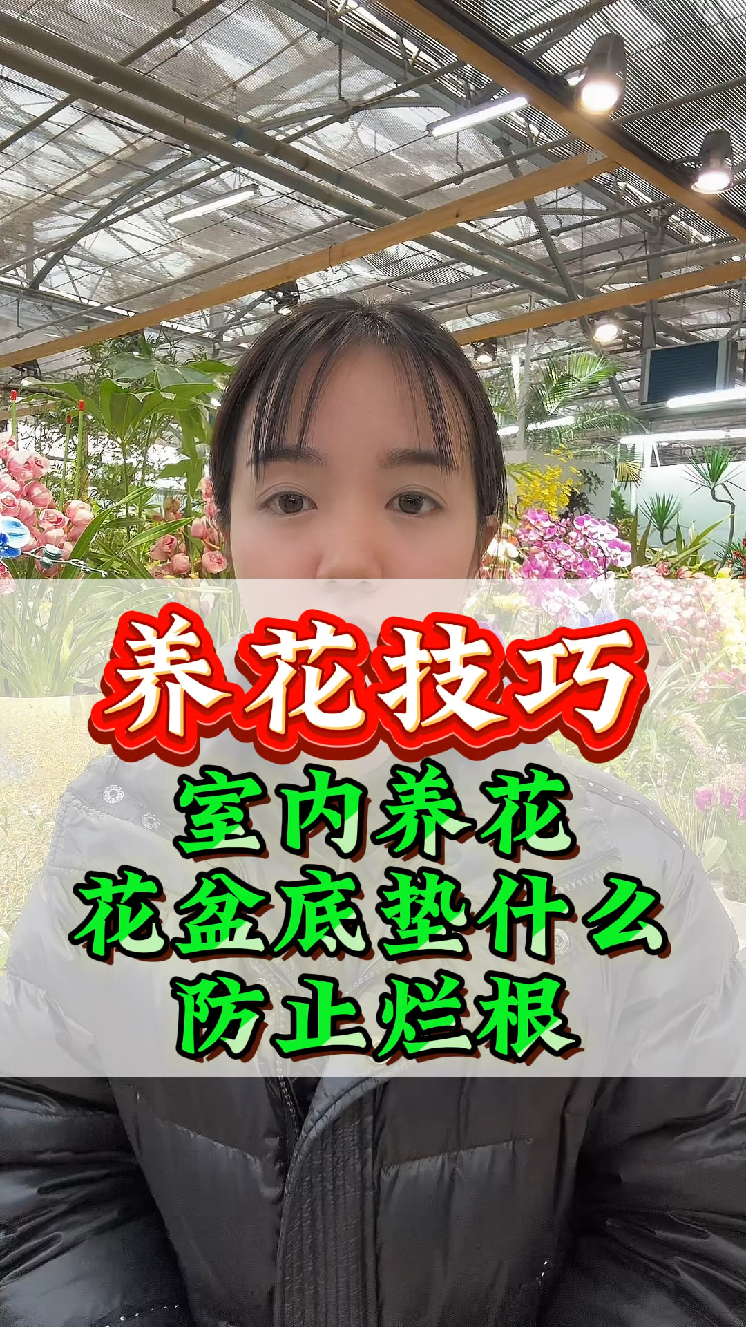 养花技巧，室内养花花盆底垫什么，防止烂根