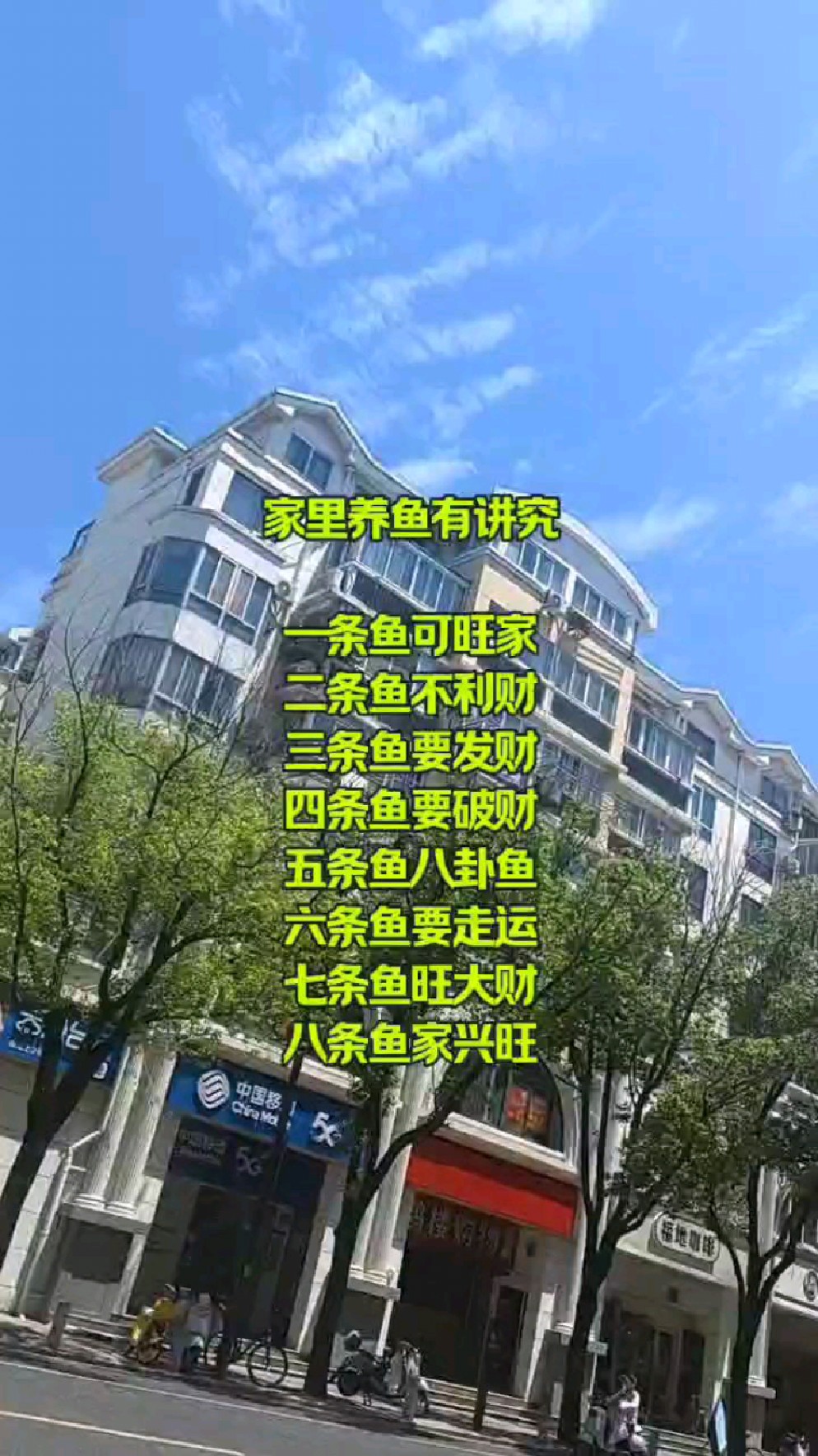 家里养鱼也是有讲究的