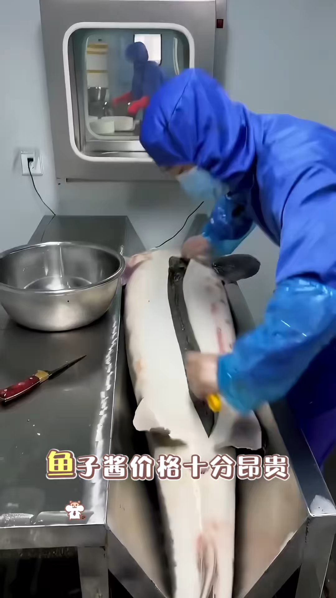鱼子酱为什么价格昂贵呢？