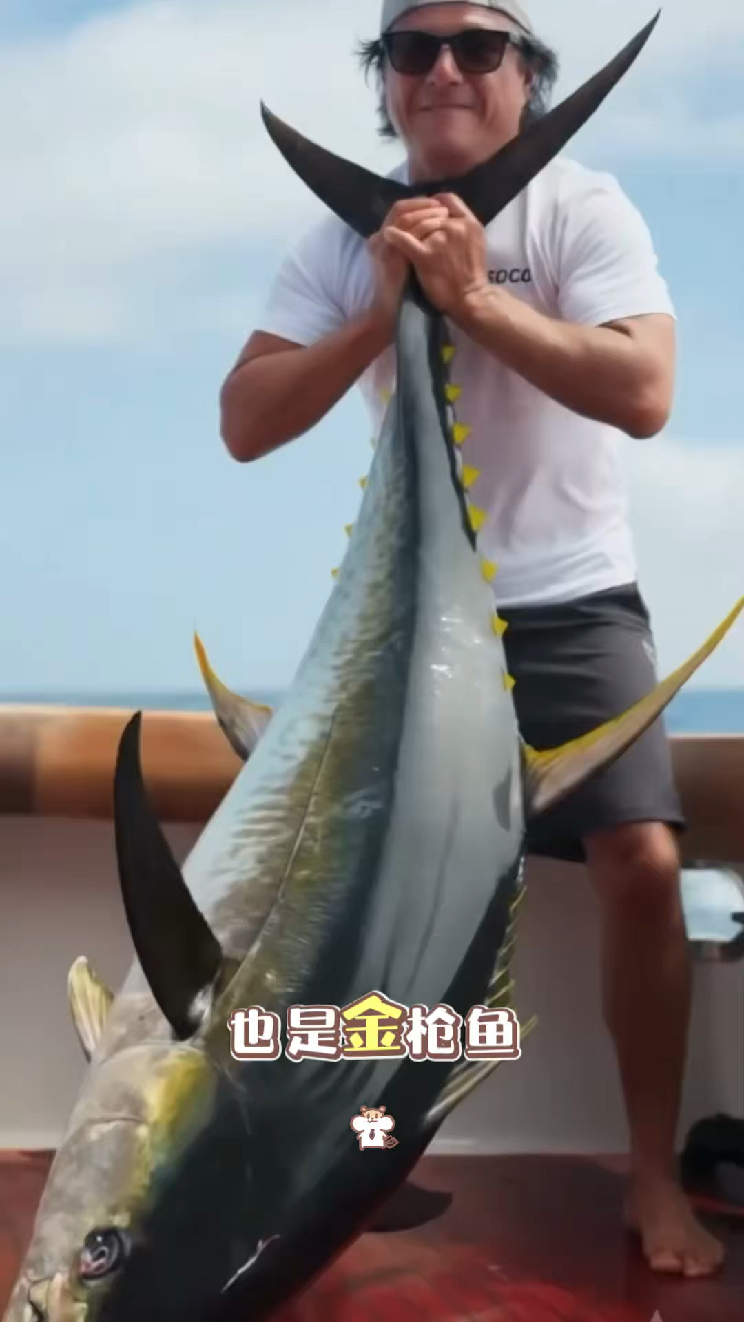 金枪鱼价格昂贵的原因