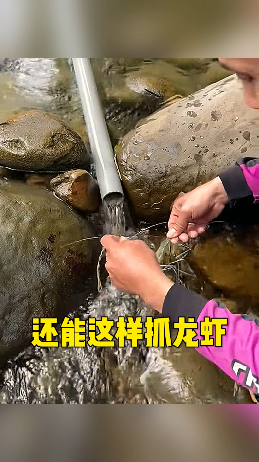 还能这样抓龙虾的