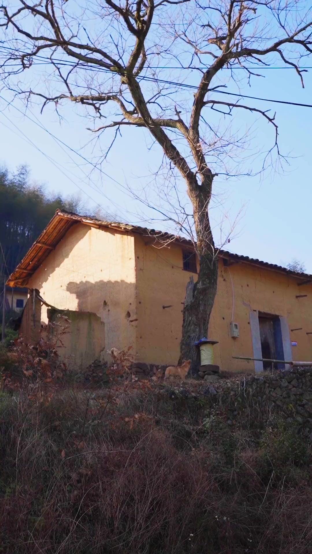 正宗牛肉辣条,味美却需费些牙力,似牛肉干般。