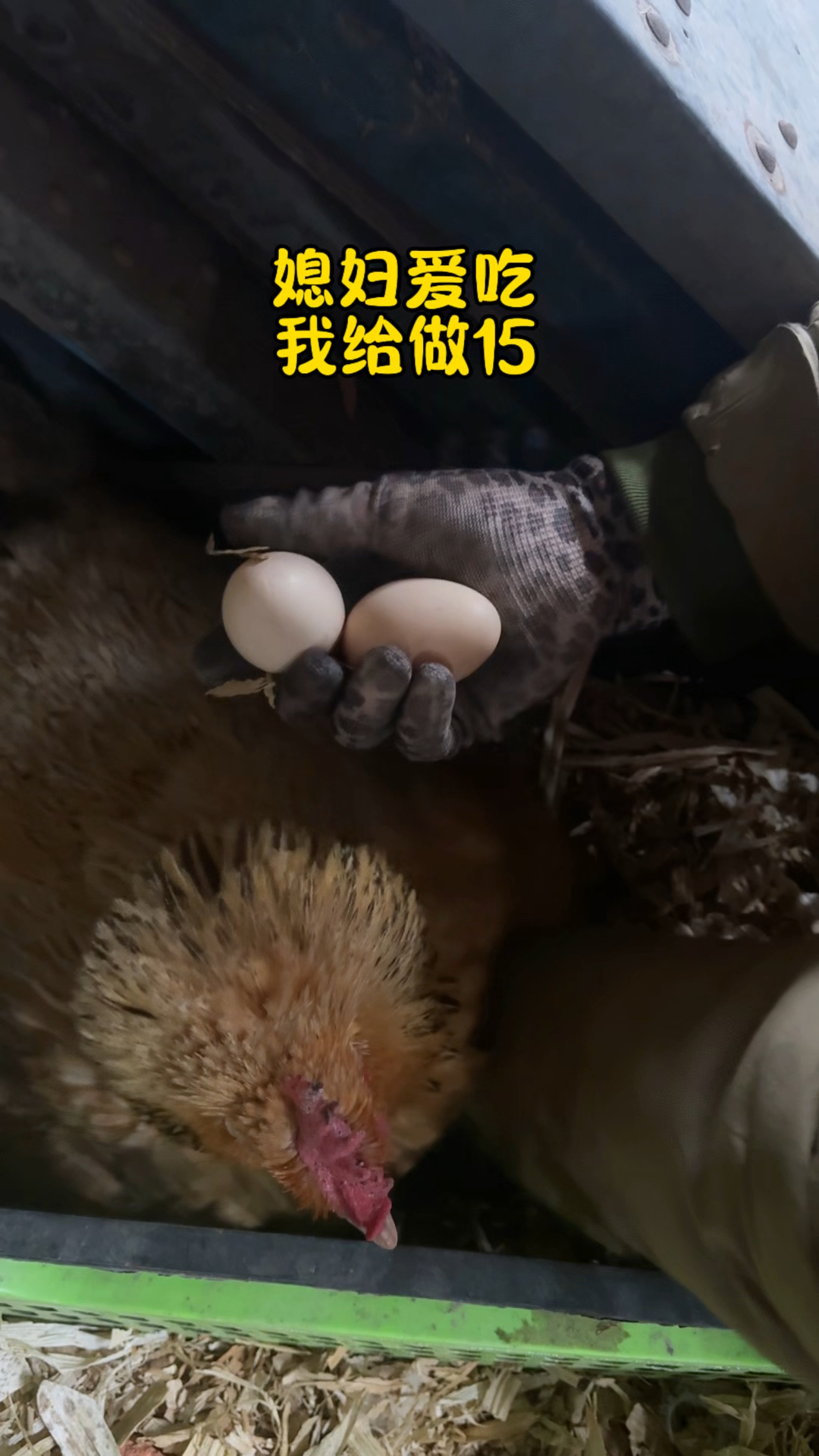 媳妇儿爱吃鸡蛋糕