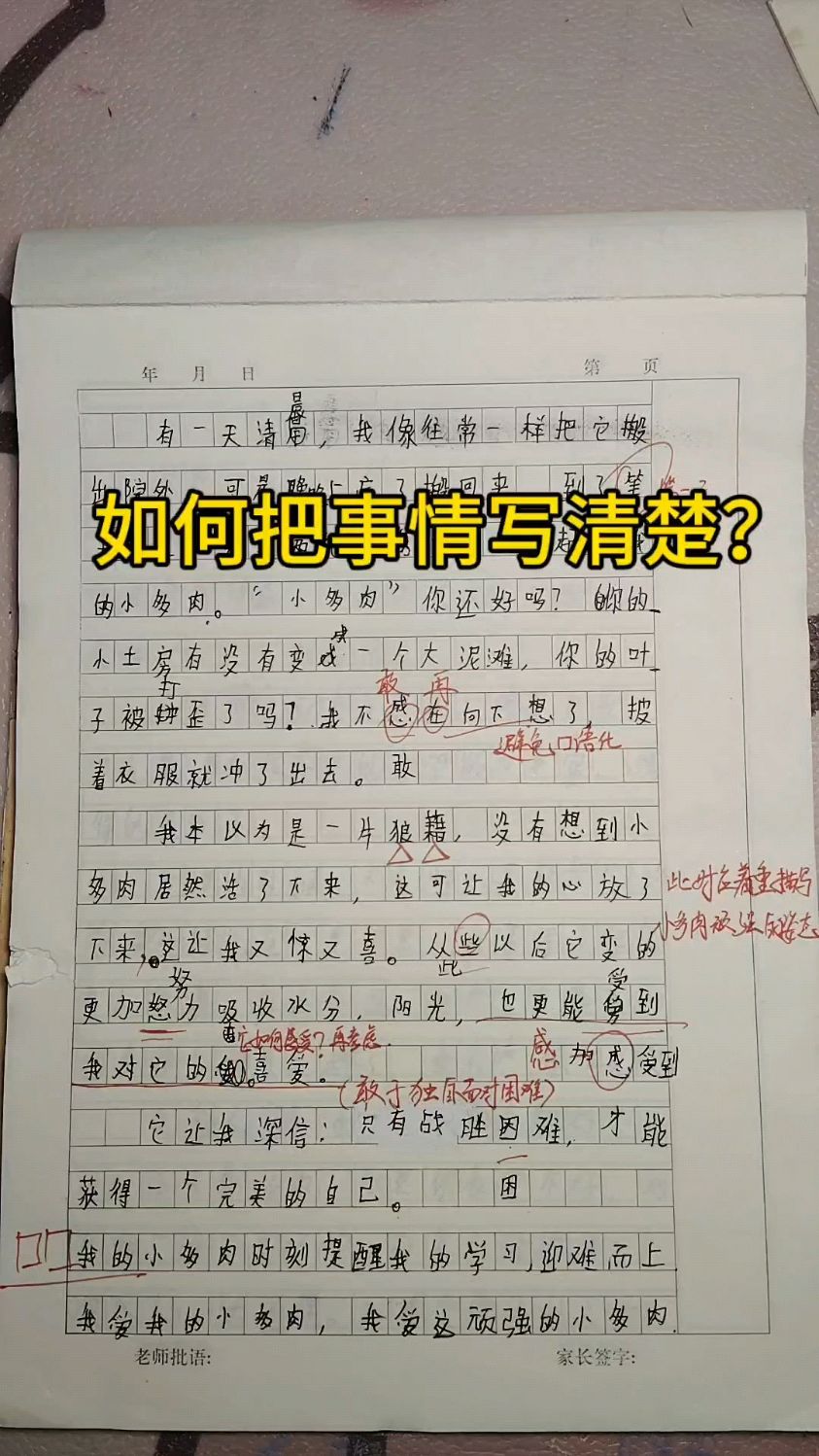 小学作文,如何把事情写清楚?看完你就学会了!