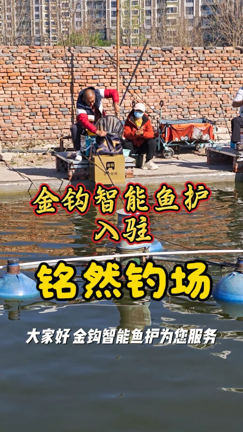 金钩教您怎么选择钓位 #电子鱼护 #智能鱼护 #无限回锅鱼