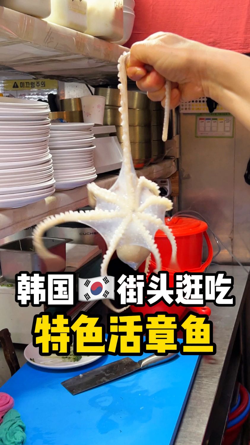 韩国街头逛吃～特色活章鱼