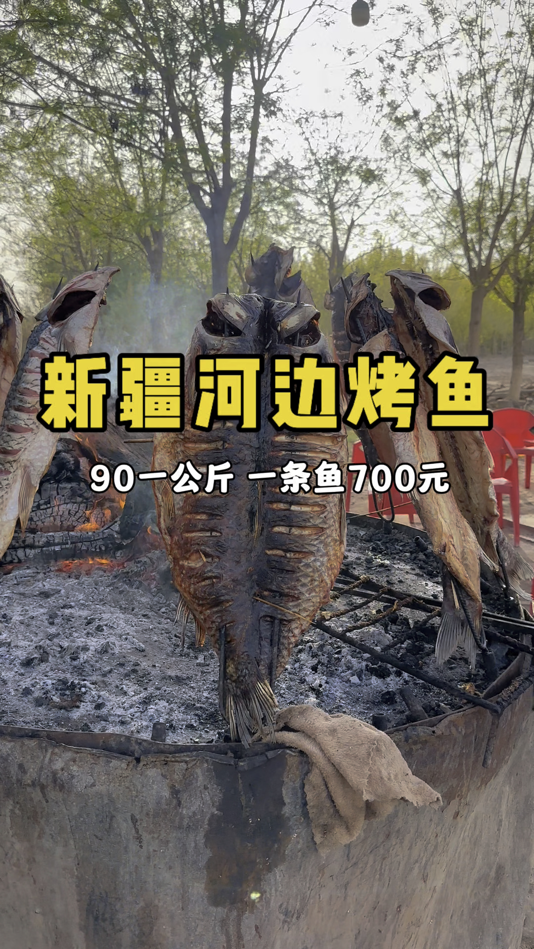 新疆喀什河边烤鱼