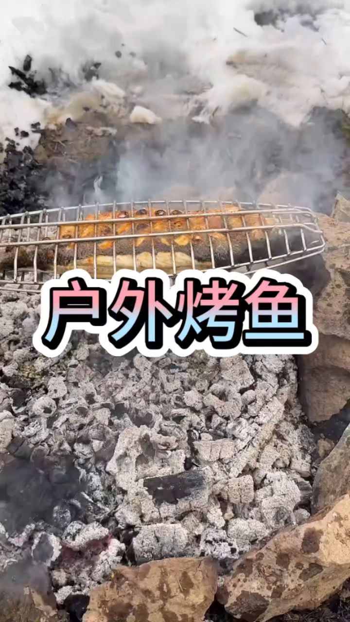 户外烤鱼真是一绝啊