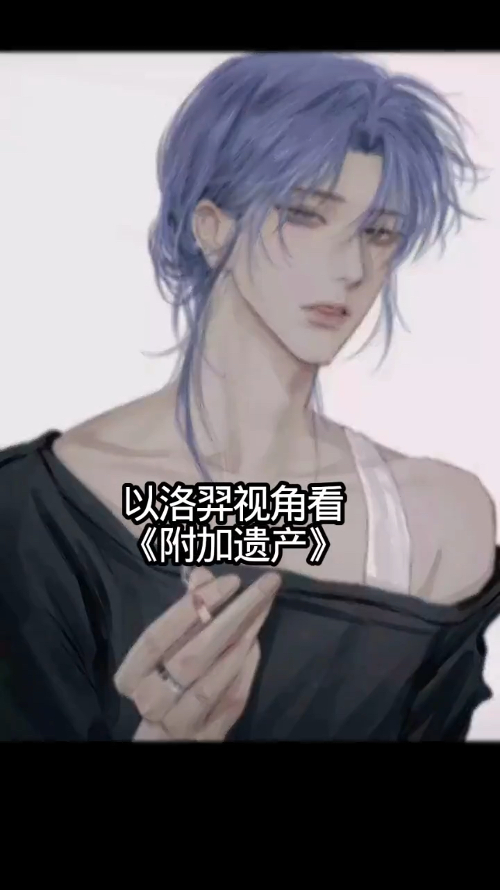 如果以洛羿视角看《附加遗产》那么这是一本救赎文