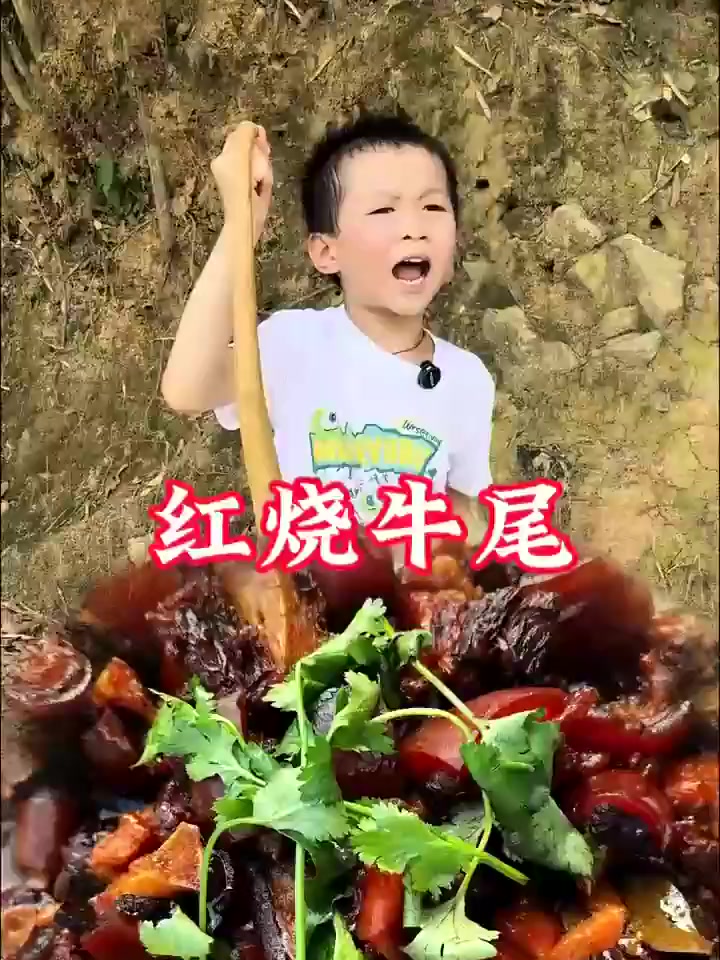 红烧牛尾孩子说妈妈做的牛尾很好吃!!