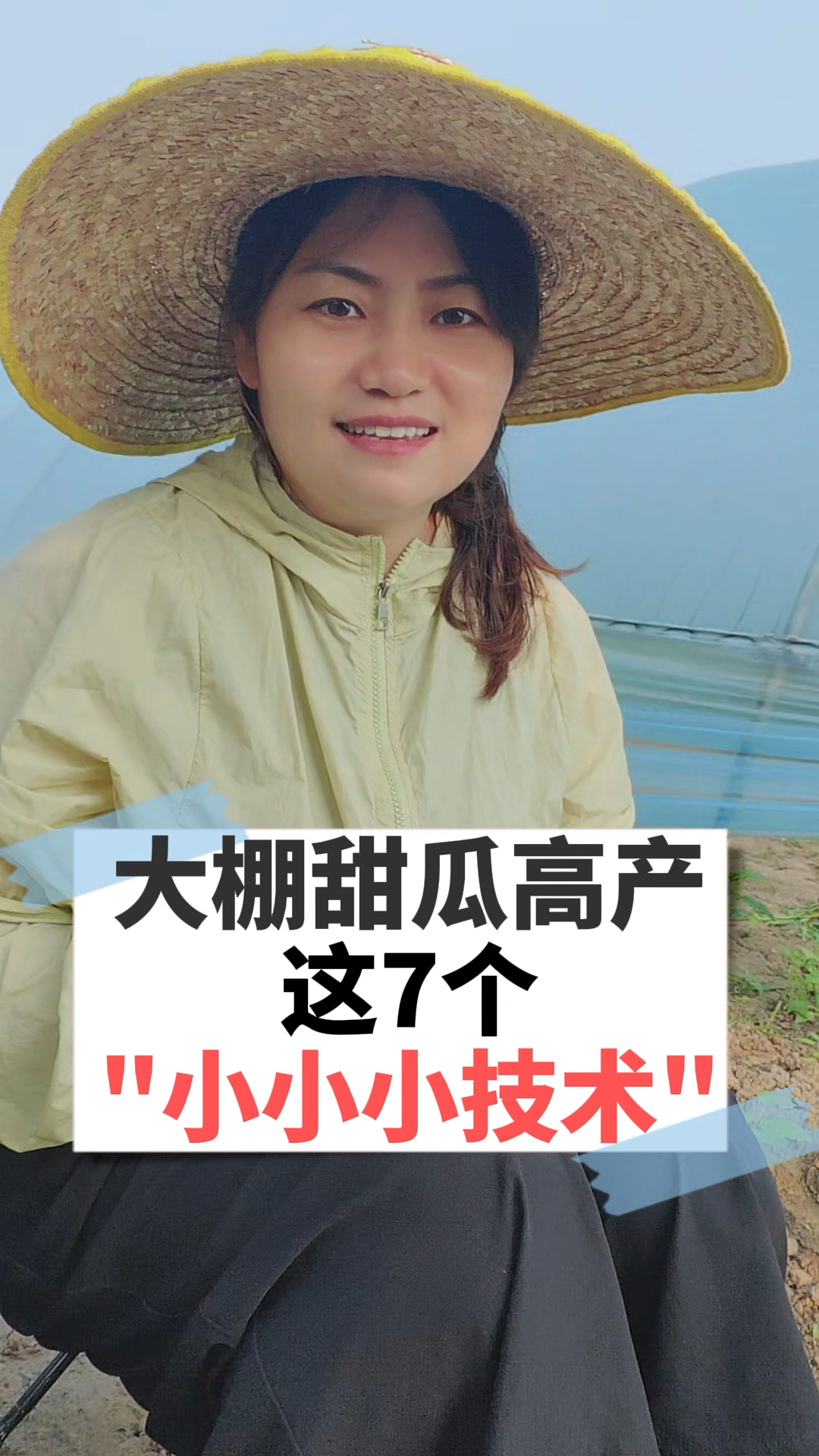 大棚甜瓜高产的7个小小小技术