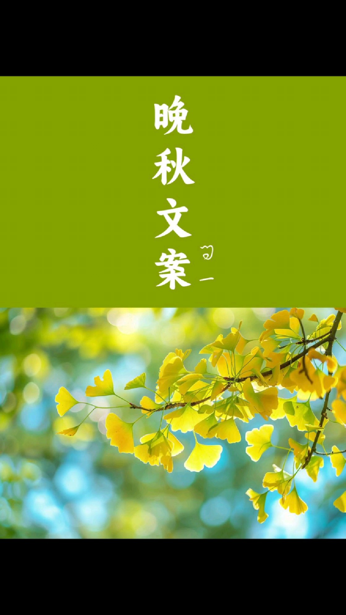 温柔的晚秋文案来啦~选一句惊艳你的朋友圈吧