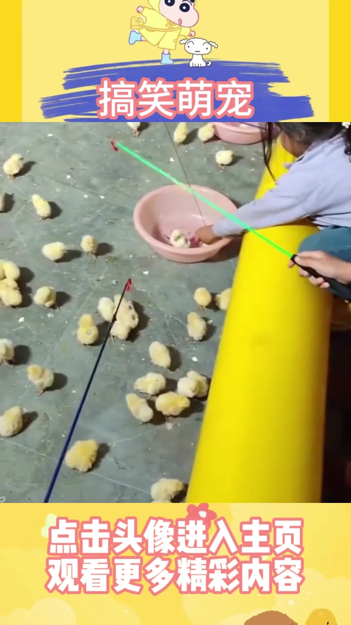 摊位上的吸铁石钓小鸡