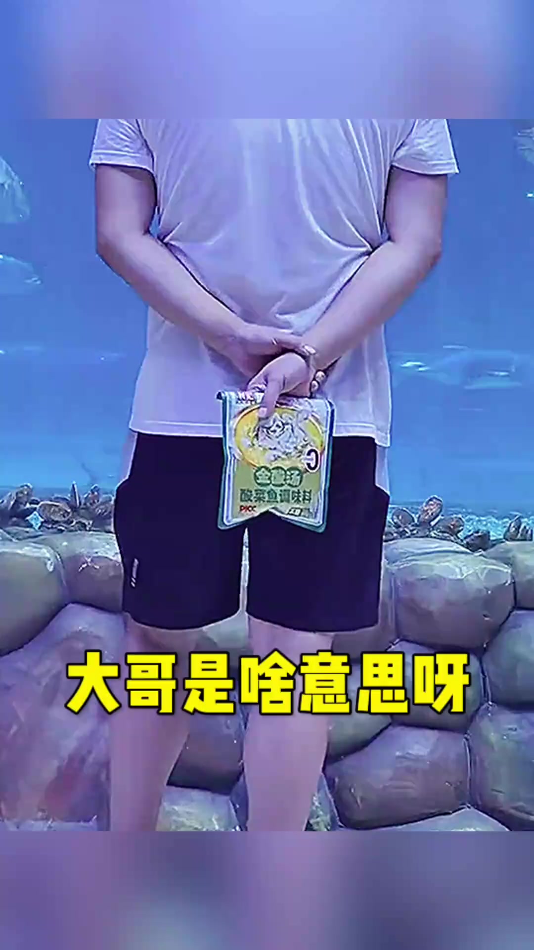 《海洋深处的异界:美人鱼现身与神秘酸菜鱼之谜》