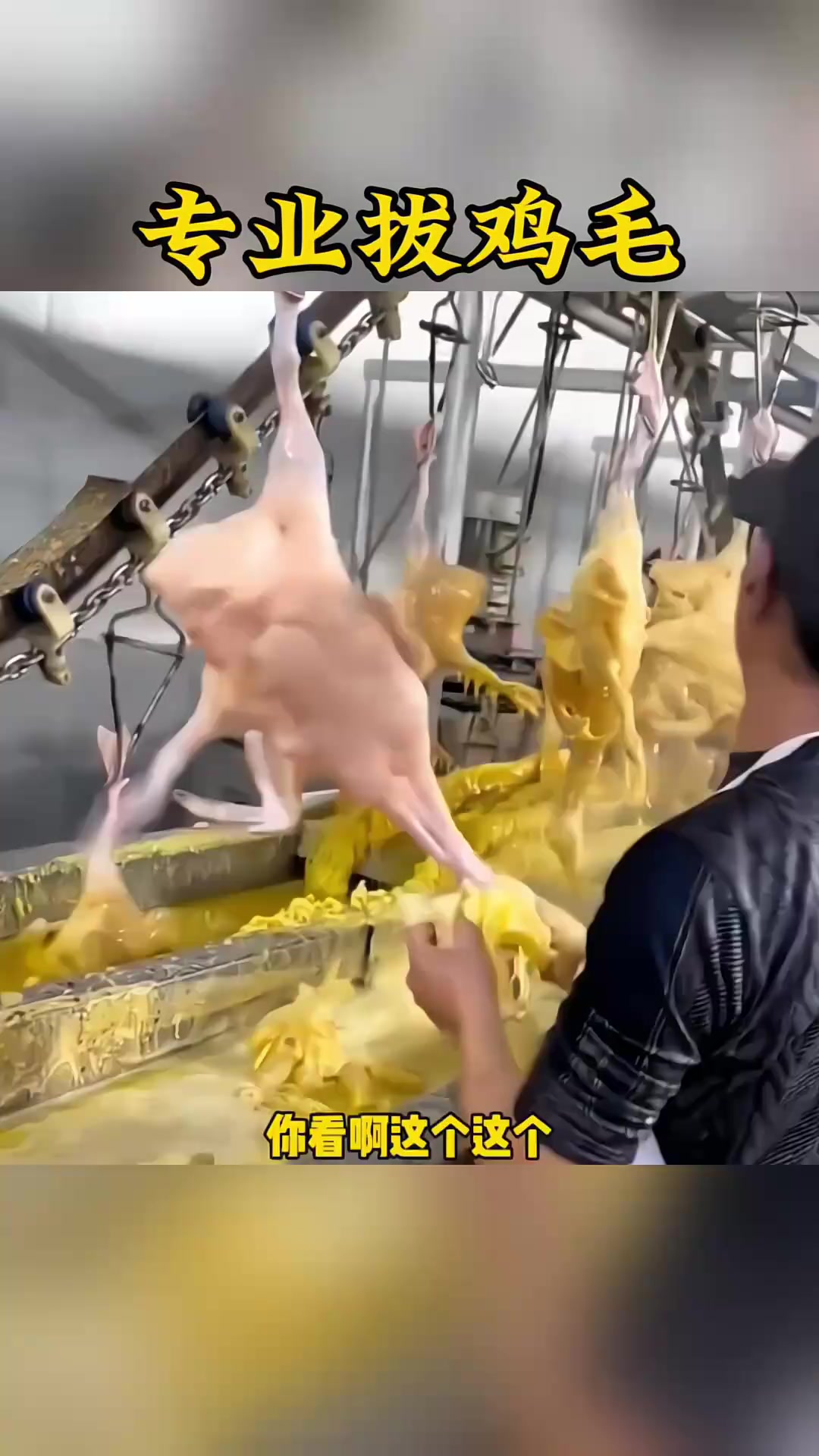 “烧鸡工厂的奇异拔毛法:一层神秘物质揭开未解之谜!”