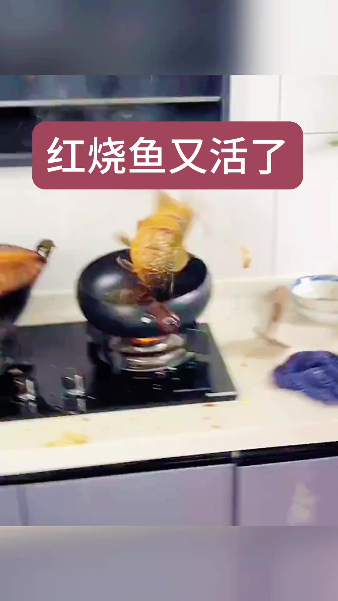 “红烧鱼复活:厨房里的奇迹与未解之谜,真相究竟是什么?”