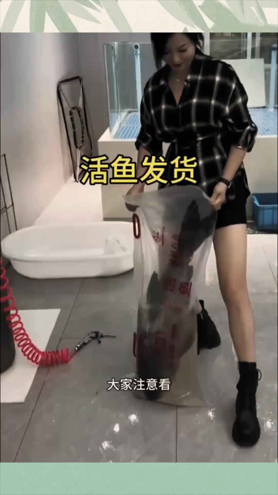 活鱼网购:运输中的神秘氧气注入法引发无法理解的奇妙之谜