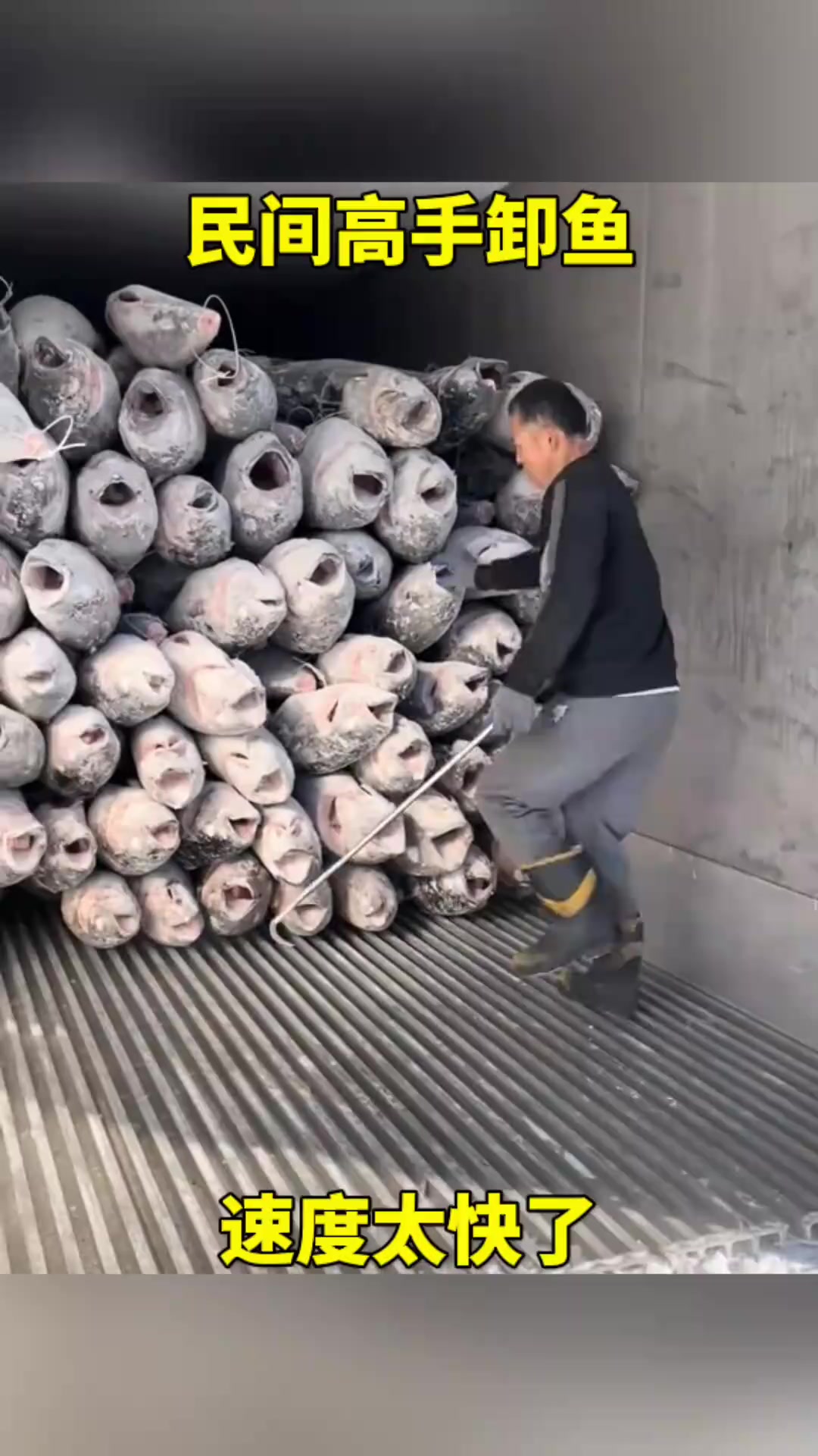 《冰冻鱼的奇妙卸货术：速降的艺术与味道的迷雾》