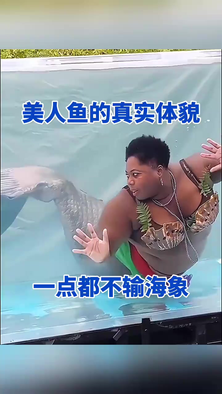“美人鱼的奇幻世界:胖版美人鱼竟成海底王国的绝对霸主!”
