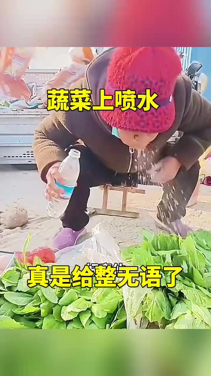 《小青菜背后的秘密:水分竟藏惊人真相,购物选择成谜》