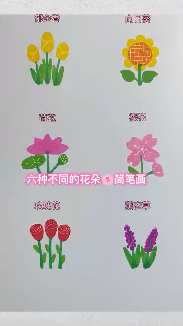 六种简单花朵简笔画,六一儿童节快到了快来画吧!