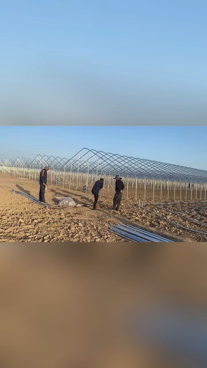 蘑菇顶椭圆管大棚