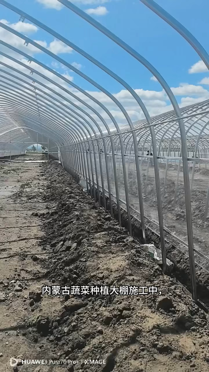 内蒙古蔬菜种植大棚