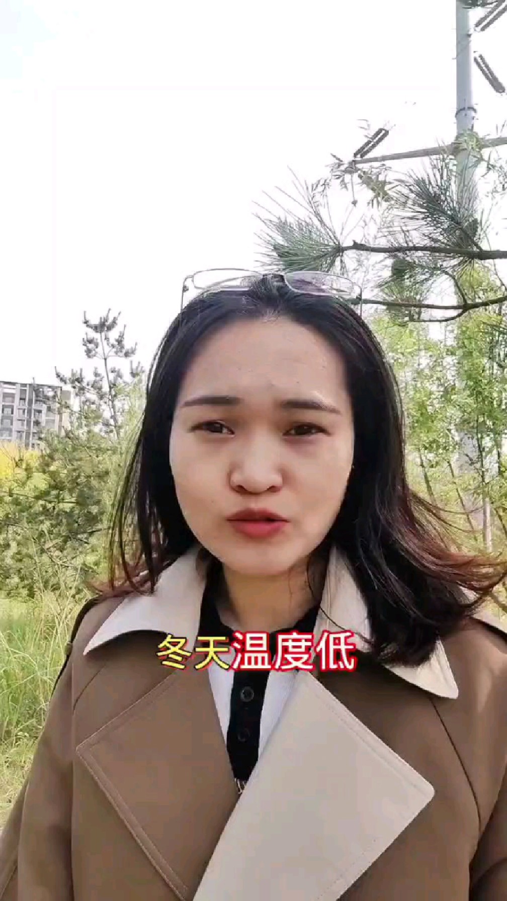 夏天养鸡不应激还长肉?