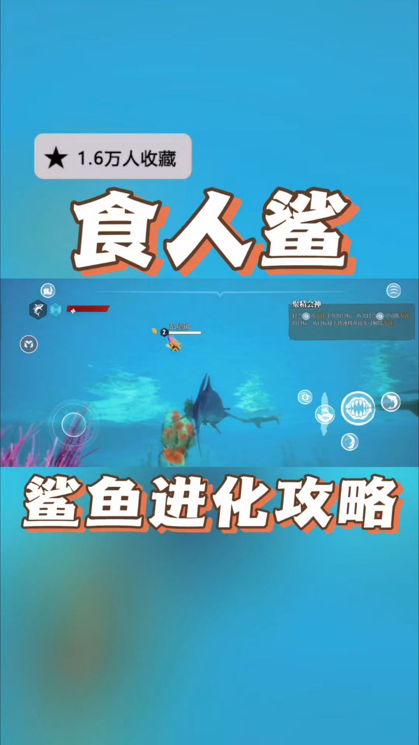 @光环助手APP #光环助手 食人鲨手游所有鲨鱼的进化攻略 #食人鲨