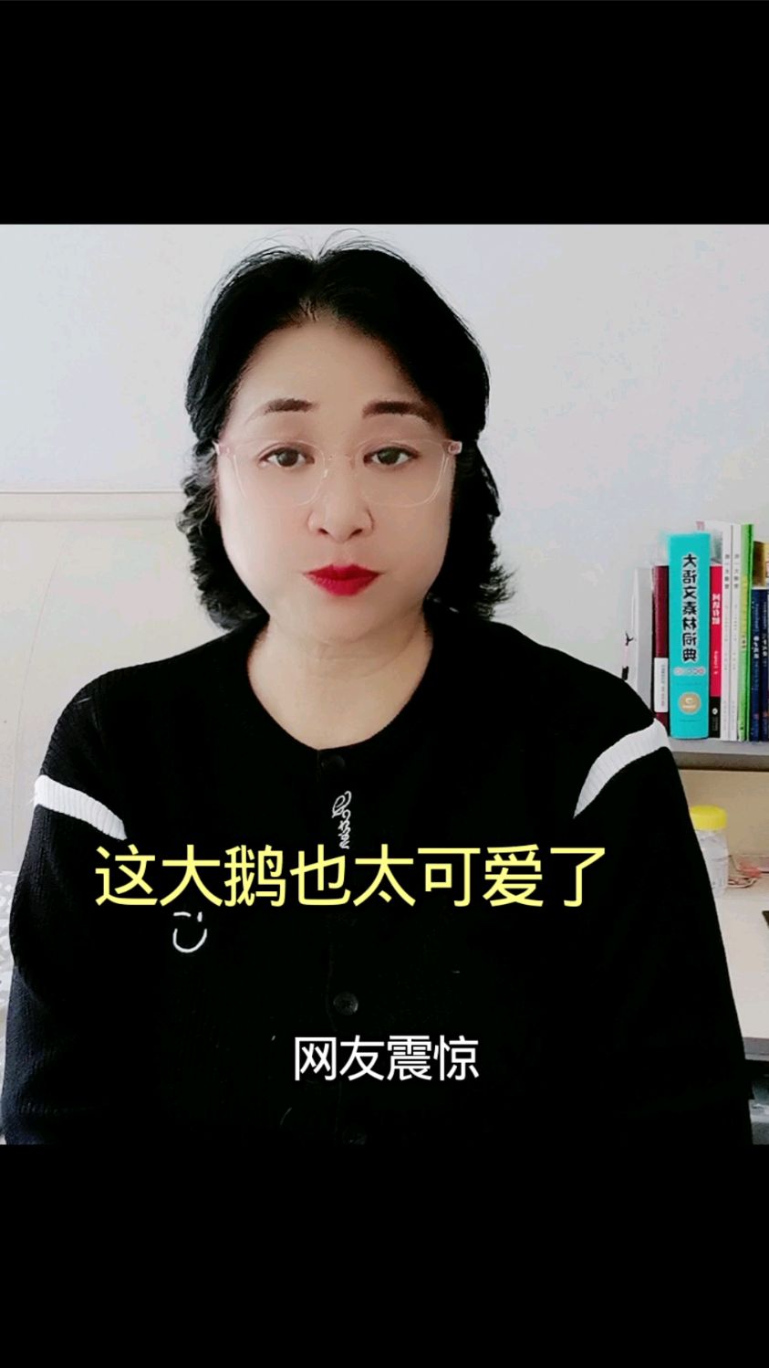 你看这大鹅多可爱
