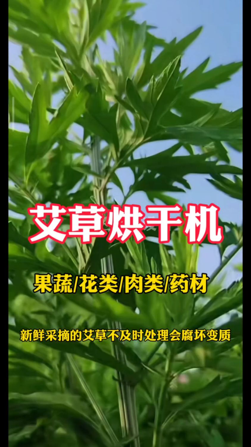 #艾草#多功能烘干箱#果蔬肉药材海鲜牛猪皮菊花金银花黄花菜烘干机