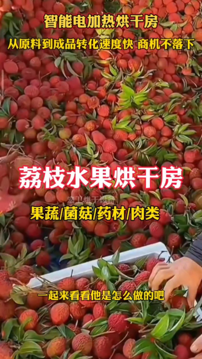#荔枝无花果杨梅芒果水果烘干房#蔬菜菌菇肉制品豆制品烘干机#药材