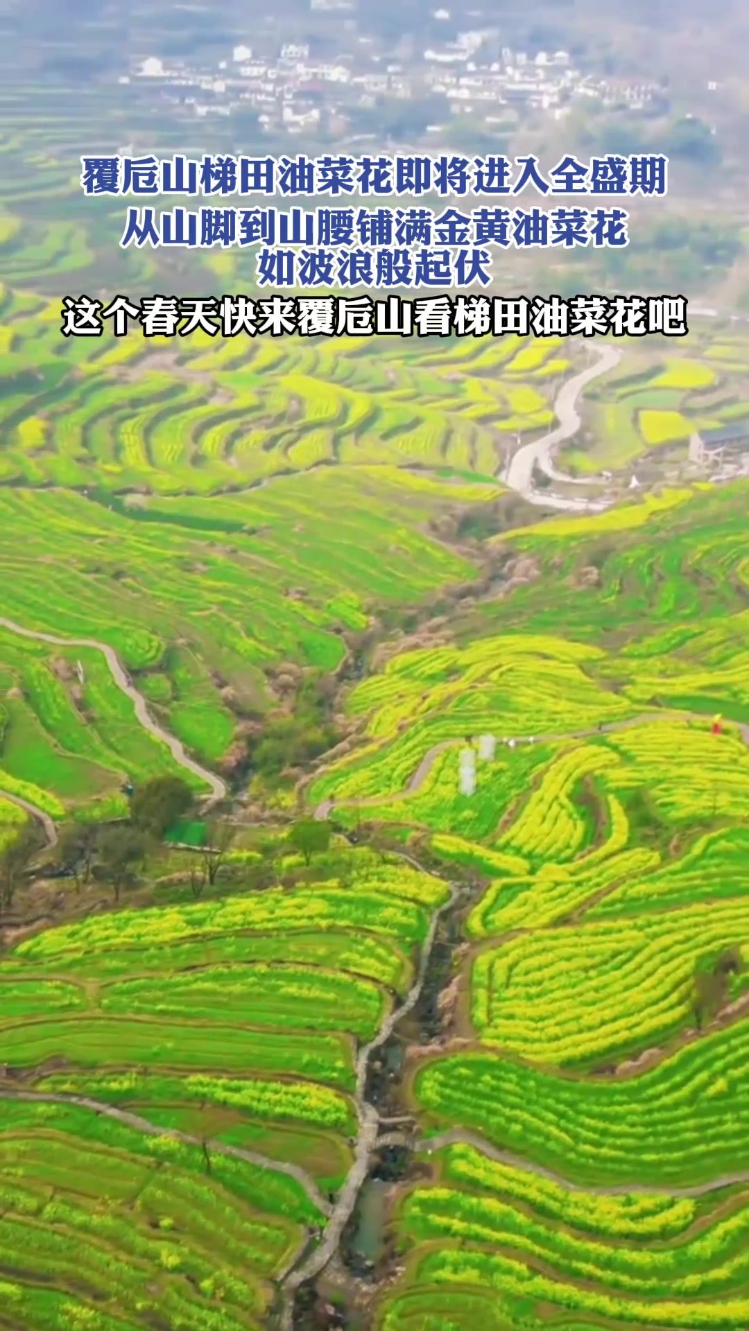 这个春天快来覆卮山看梯田油菜花吧