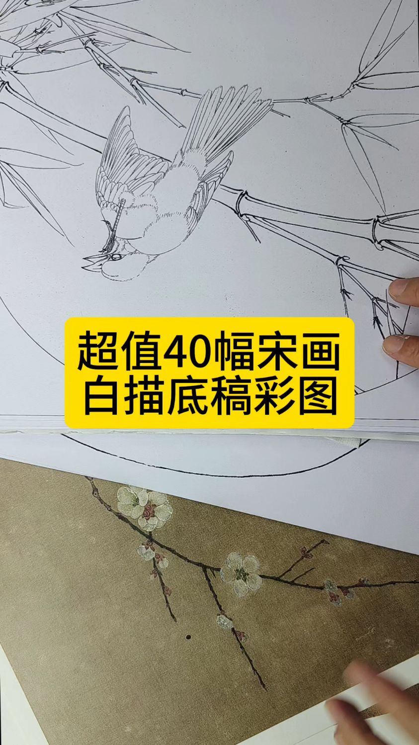 淘宝下单#宋画白描底稿#工笔国画#工笔花鸟#工笔牡丹