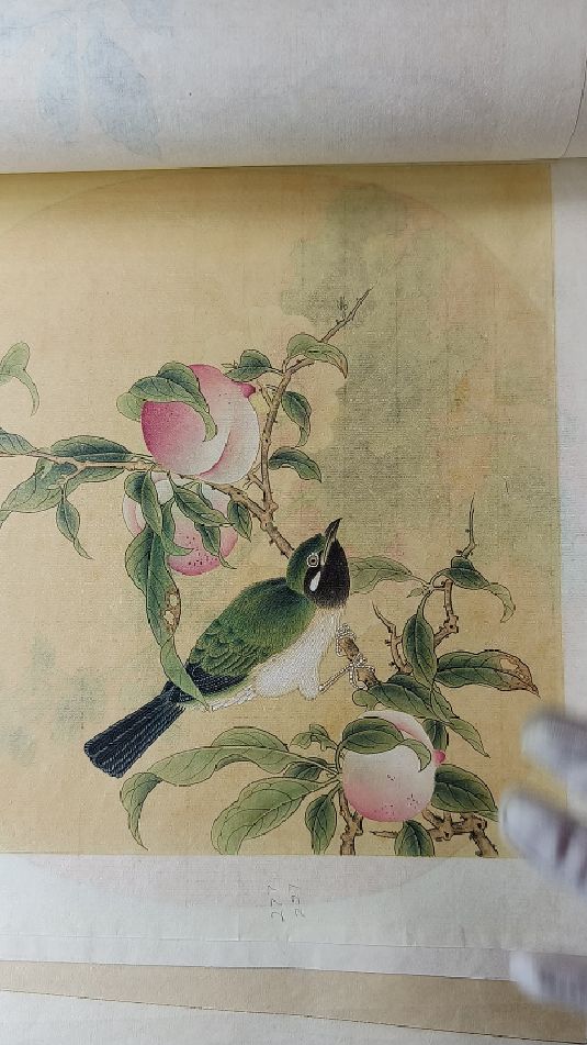 #工笔画用什么熟宣纸好#工笔国画直播#宋画小品