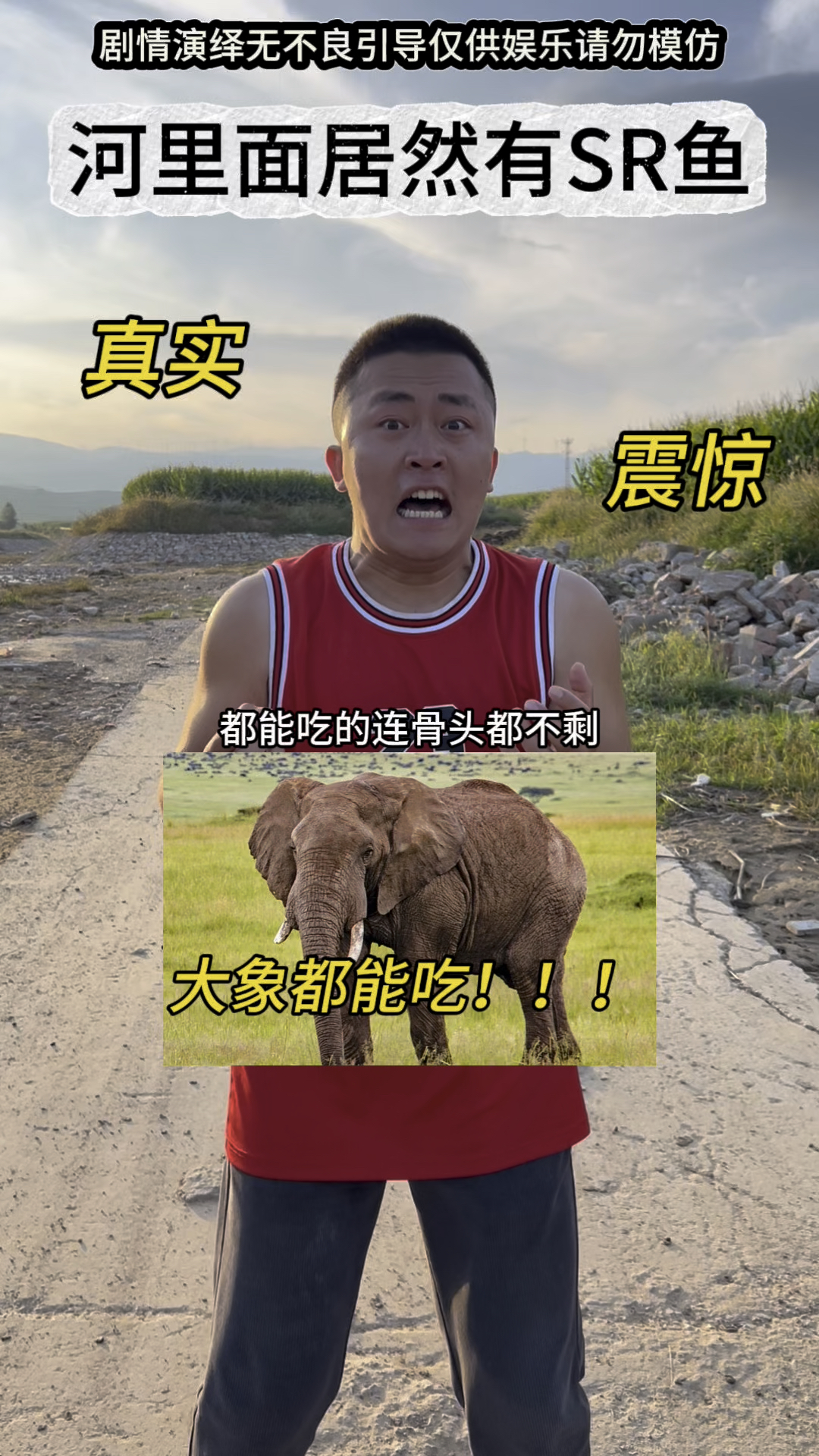 河里面居然有SR鱼