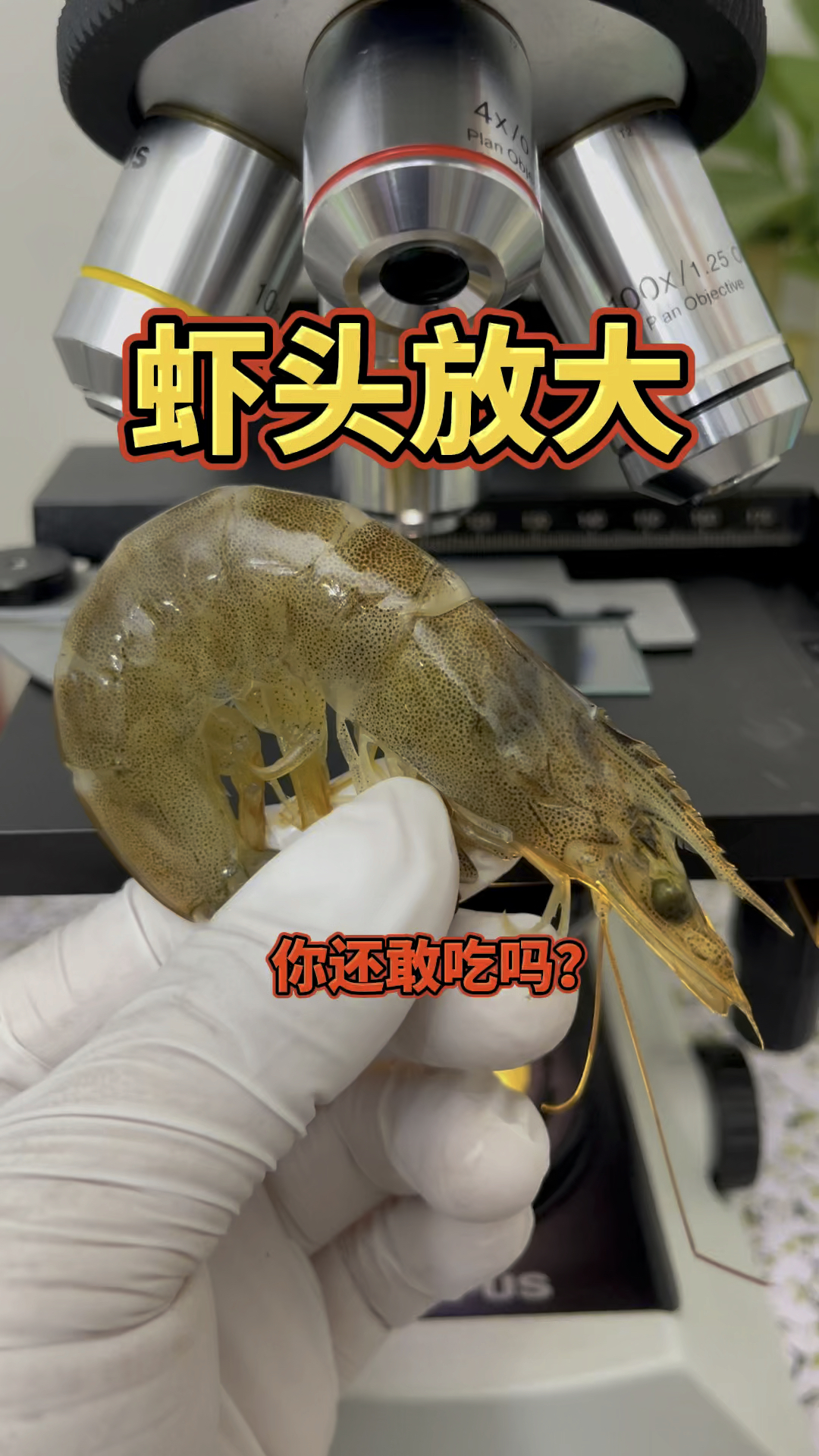 虾头放大!你还敢吃吗?