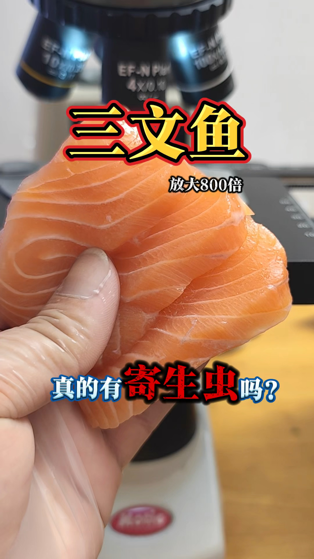 三文鱼放大800倍,真的有寄生虫吗?