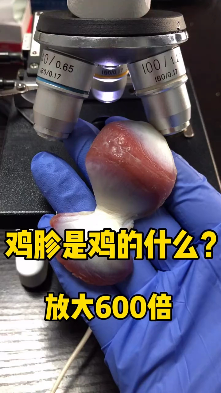 鸡胗是鸡的什么，放大力百倍？
