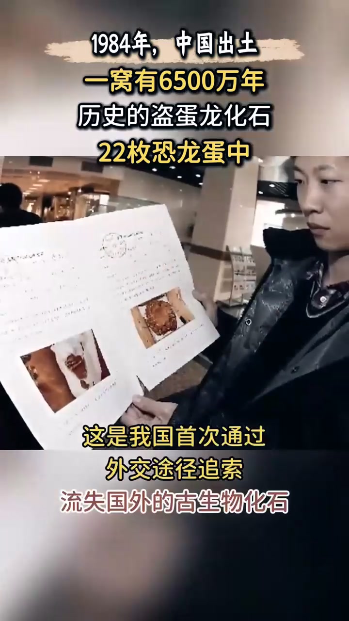 “恐龙蛋窝”化石真容,有6500万年历史,流落海外被追回