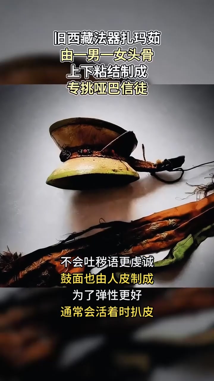 旧西藏法器扎玛茹,男女头骨粘结制成,专挑不会吐秽语哑巴信徒