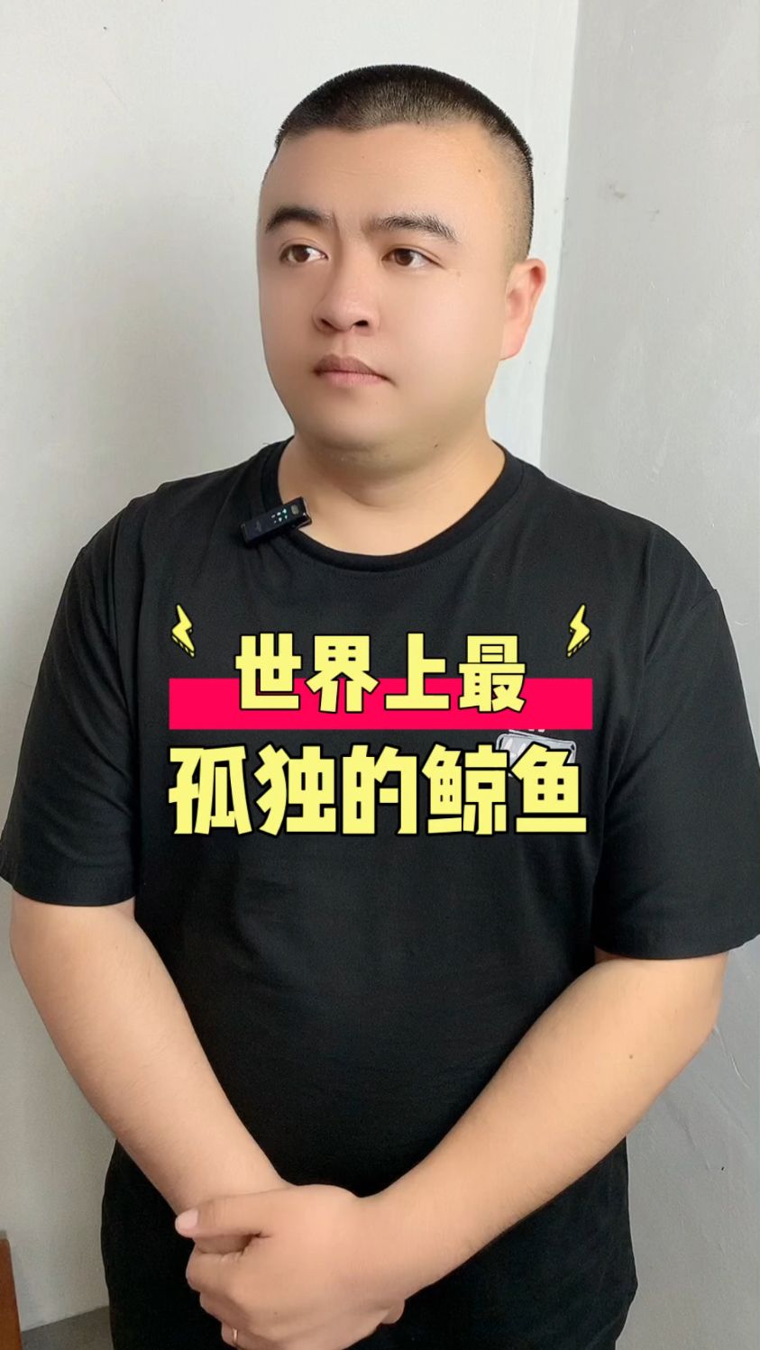 最孤独的鲸鱼你知道吗?#鲸鱼 #孤独 #冷知识