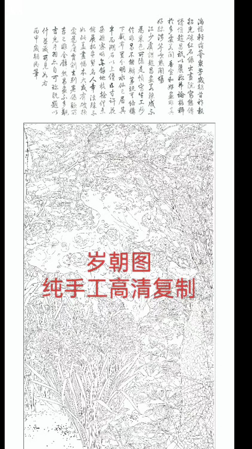 放大版【岁朝图】白描底稿,视频课#工笔国画教学#工笔花鸟#工笔国
