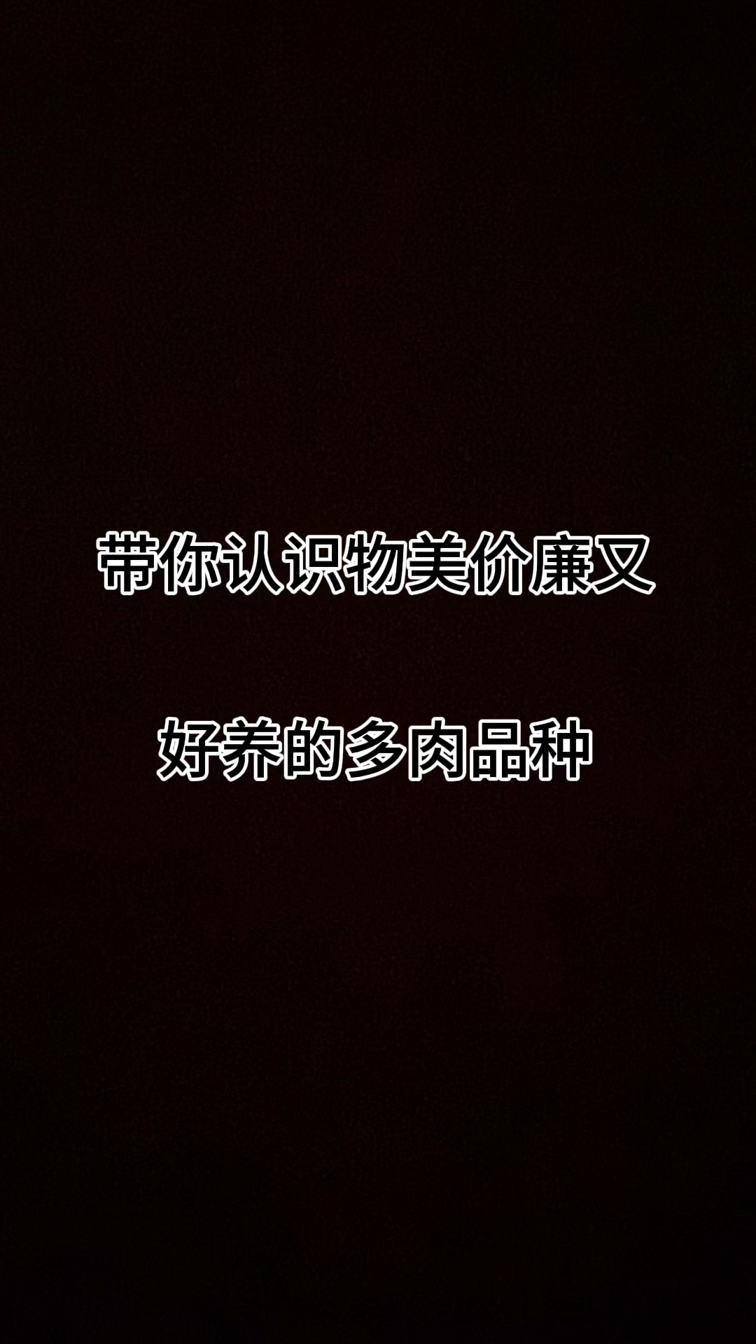 带你认识物美价廉又好养的多肉植物，#多肉植物#认识多肉品种