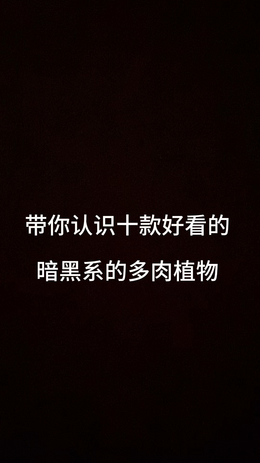 带你认识十款好看的暗黑系的多肉植物#认识多肉 #认识多肉品种