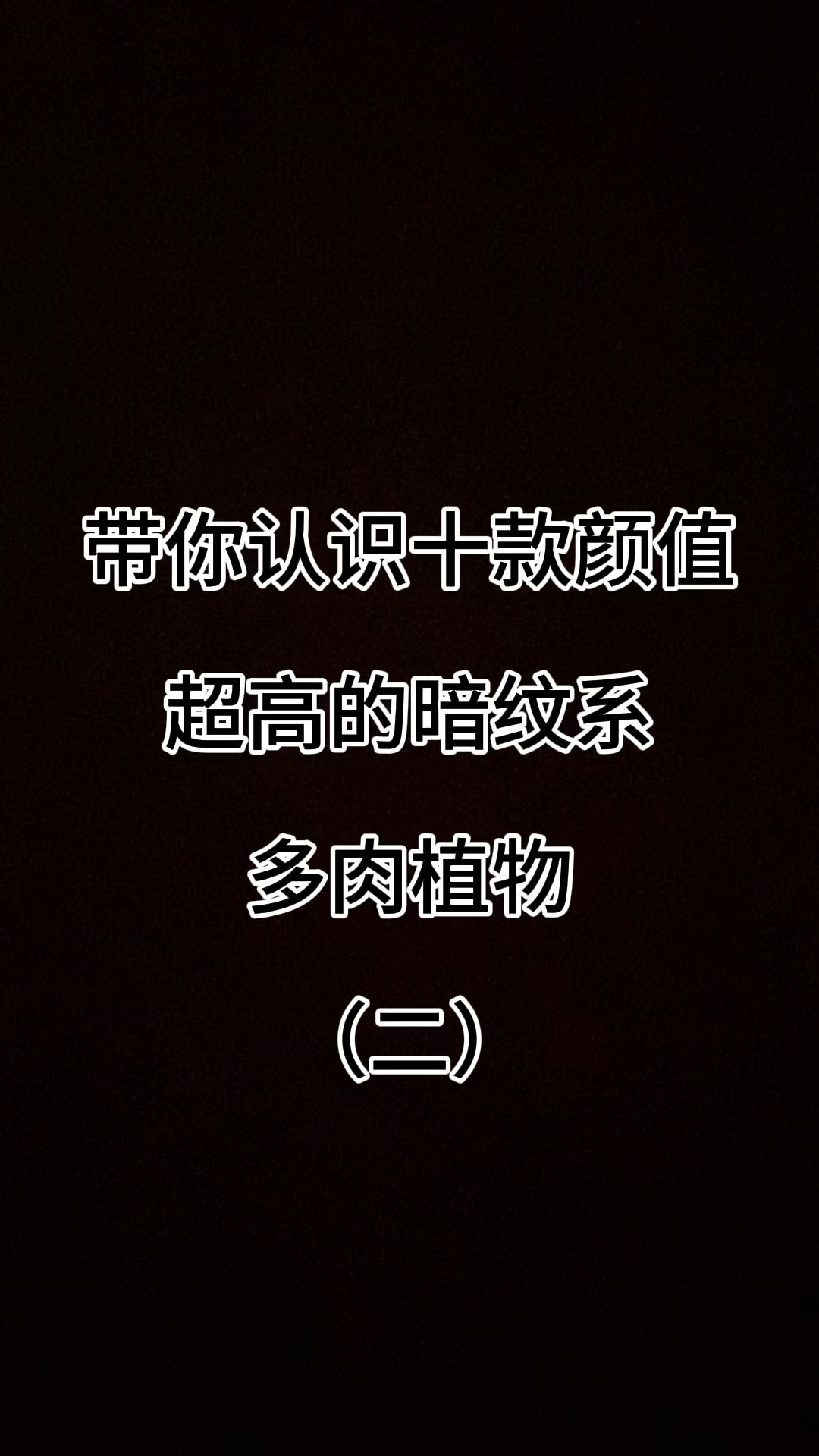 带你认识10款颜值超高的暗纹系多肉植物#认识多肉 #种草好物推荐