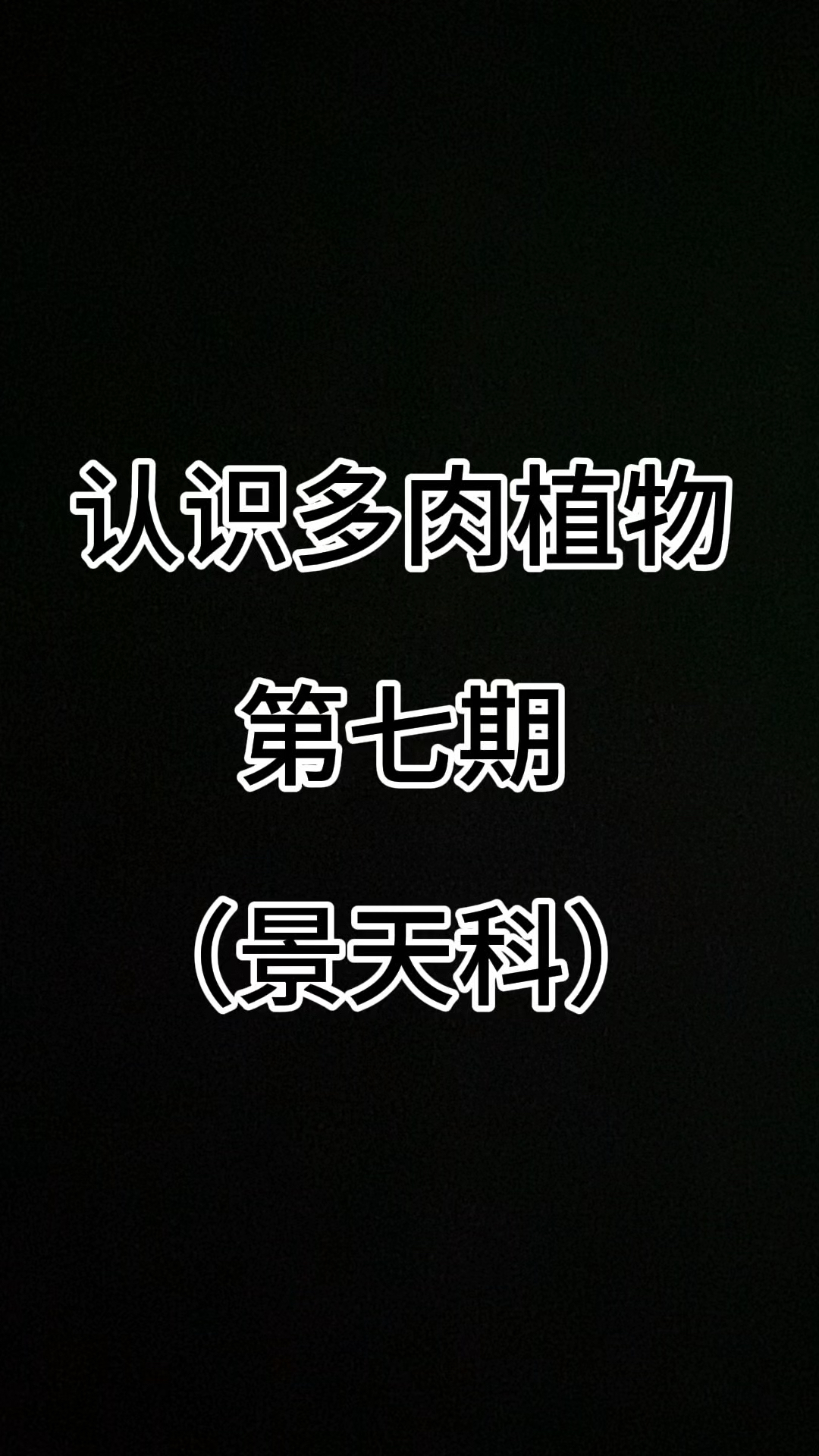 认识多肉植物第七期，#认识多肉 #多肉品种#桃之卵 #种草好物推荐